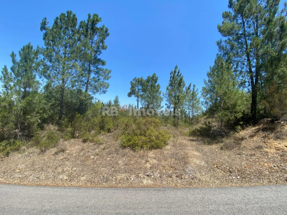Terreno Agricola ou Rústico para Venda em São Pedro de Tomar Foto 10