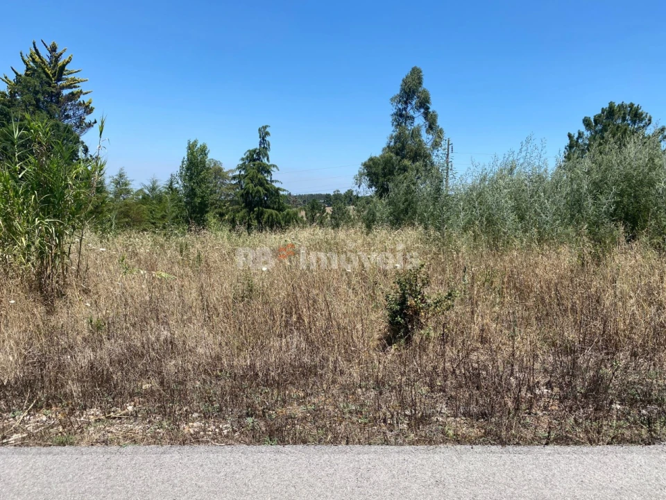 Terreno Agricola ou Rústico para Venda em São Pedro de Tomar Foto 12