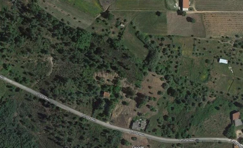 Terreno Agricola ou Rústico para Venda em São Pedro de Tomar Planta 1