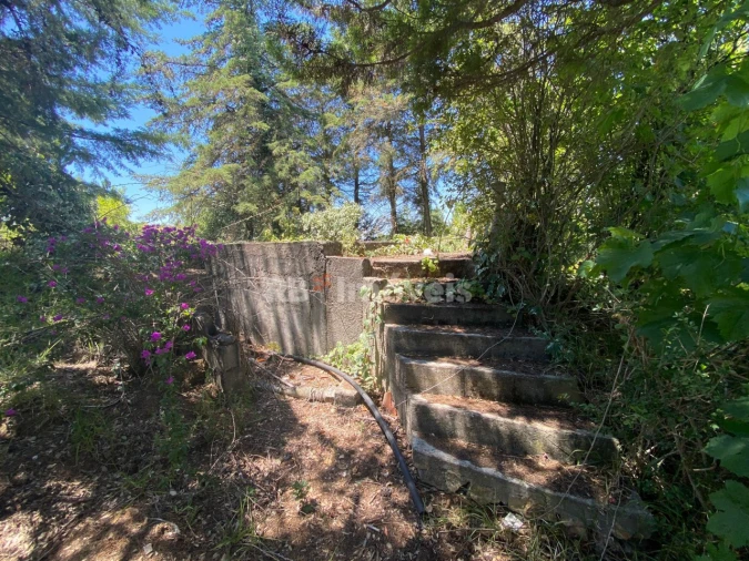 Terreno Agricola ou Rústico para Venda em São Pedro de Tomar Foto 1