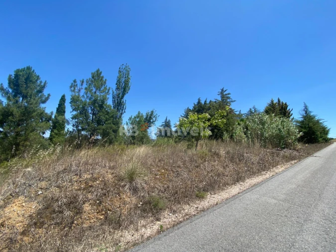 Terreno Agricola ou Rústico para Venda em São Pedro de Tomar Foto 4