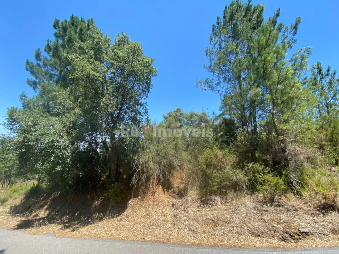 Terreno Agricola ou Rústico para Venda em São Pedro de Tomar Foto 9