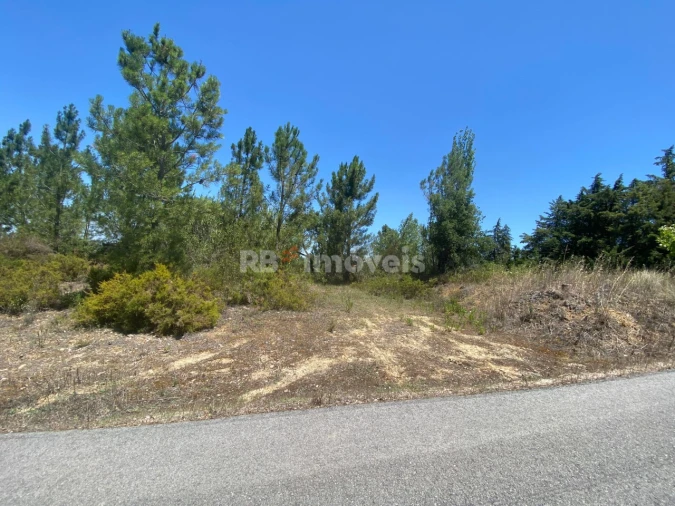 Terreno Agricola ou Rústico para Venda em São Pedro de Tomar Foto 2