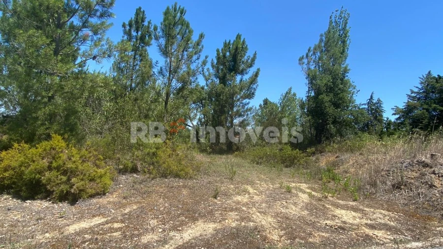 Terreno Agricola ou Rústico para Venda em São Pedro de Tomar