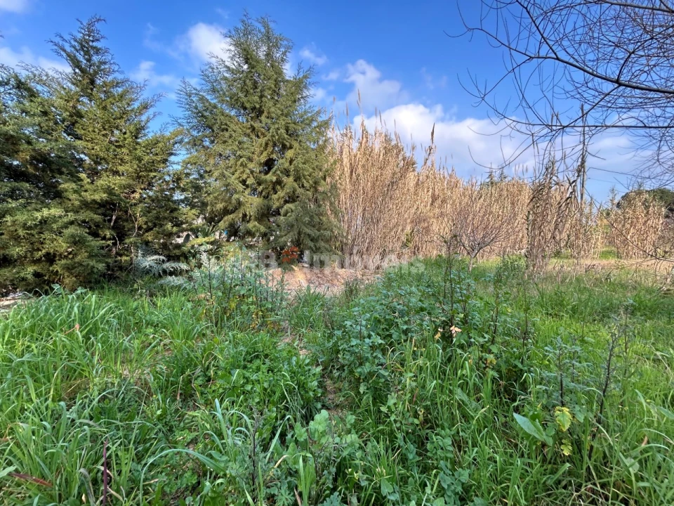 Terreno Agricola ou Rústico para Arrendamento em São João Baptista e Santa Maria dos Olivais Foto 11