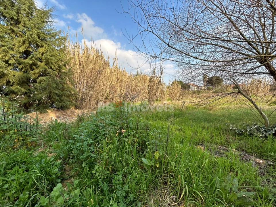 Terreno Agricola ou Rústico para Arrendamento em São João Baptista e Santa Maria dos Olivais Foto 10