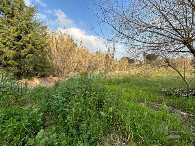Terreno Agricola ou Rústico para Arrendamento em São João Baptista e Santa Maria dos Olivais Foto 10