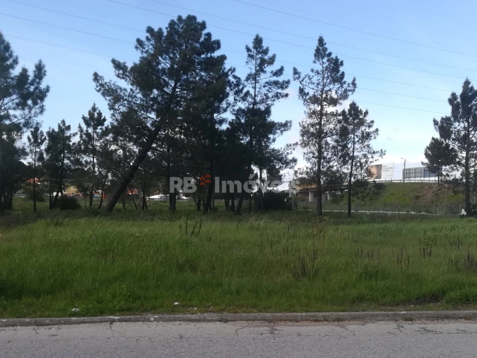 Terreno para Venda em Nossa Sra de Fatima Foto 3