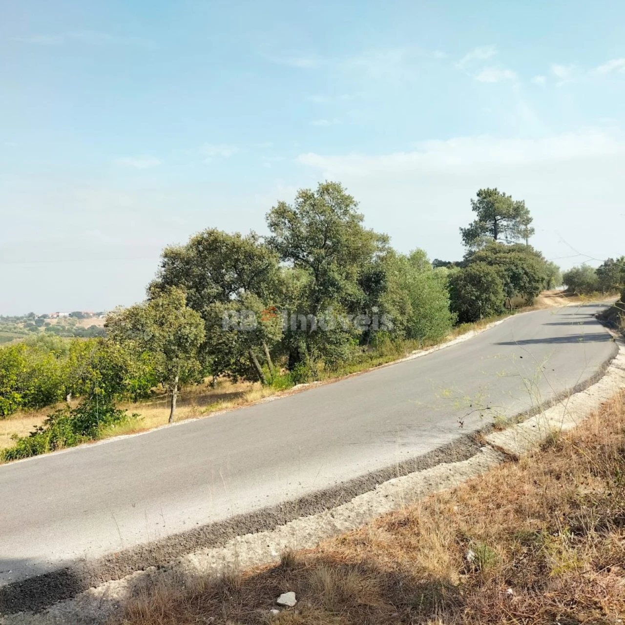 Terreno Agricola ou Rústico para Venda em Assentiz Foto 1