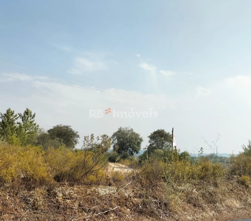 Terreno Agricola ou Rústico para Venda em Assentiz Foto 2