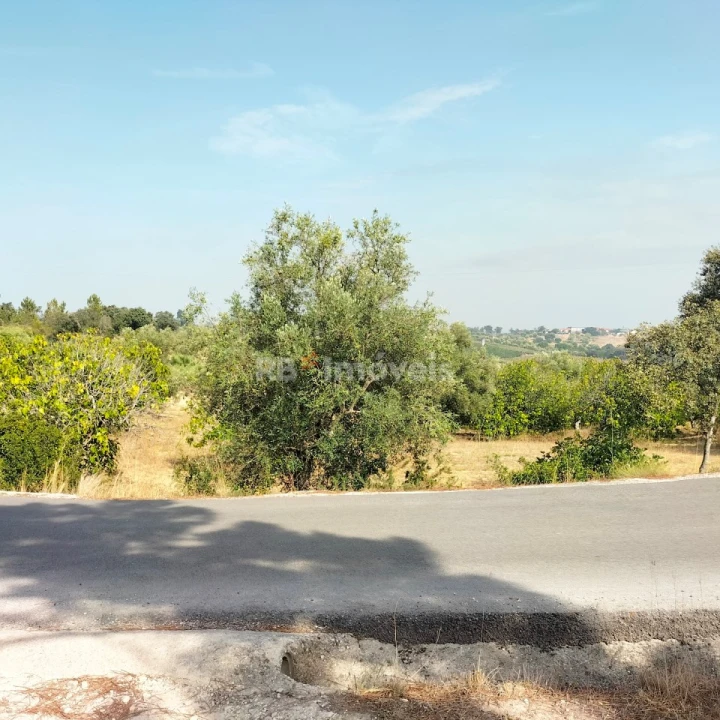 Terreno Agricola ou Rústico para Venda em Assentiz Foto 3