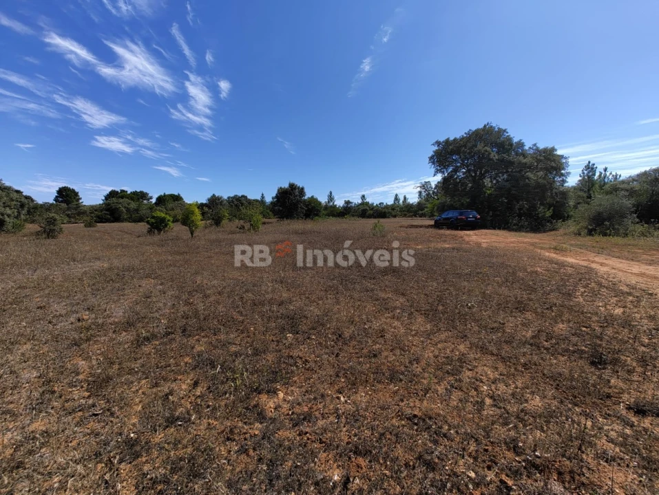 Terreno Agricola ou Rústico para Venda em Zibreira Foto 2