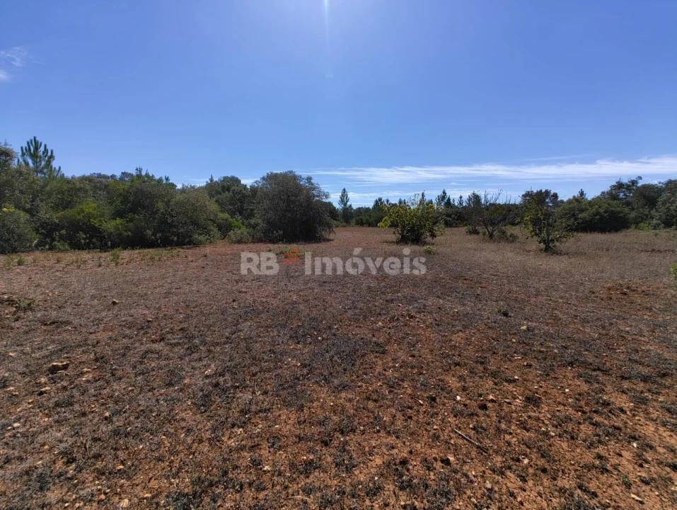 Terreno Agricola ou Rústico para Venda em Zibreira Foto 3