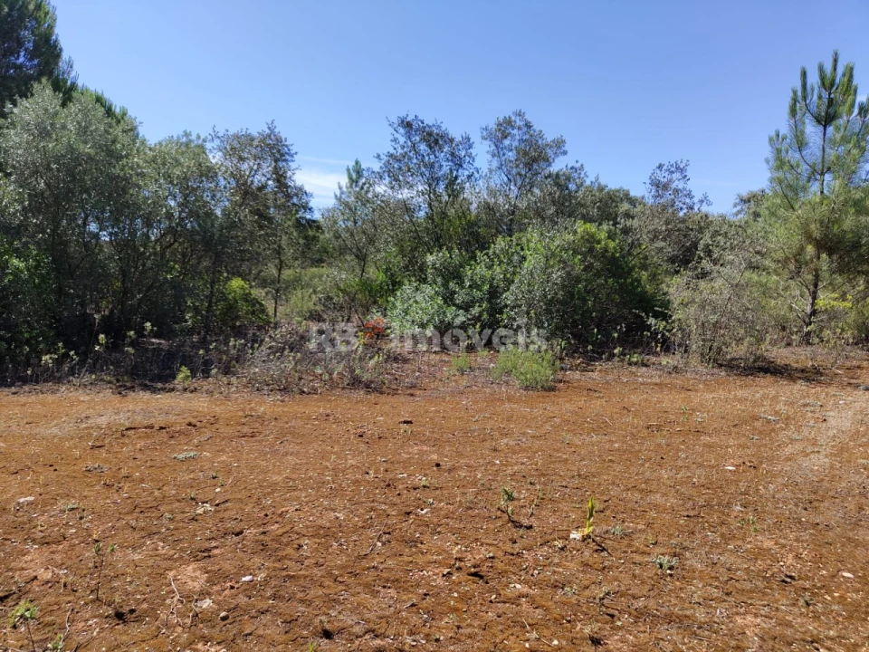 Terreno Agricola ou Rústico para Venda em Zibreira Foto 5