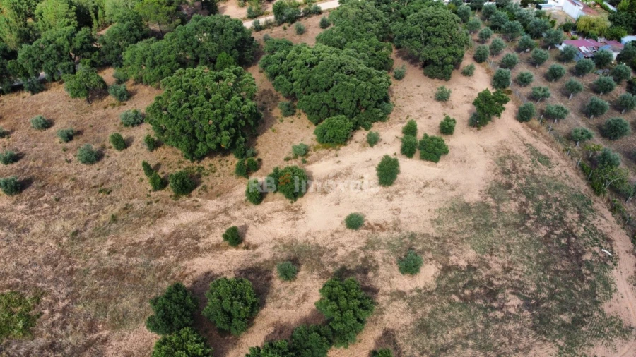 Terreno Agricola ou Rústico para Venda em Constancia Foto 3