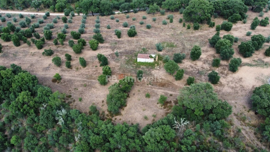 Terreno Agricola ou Rústico para Venda em Constancia Foto 2