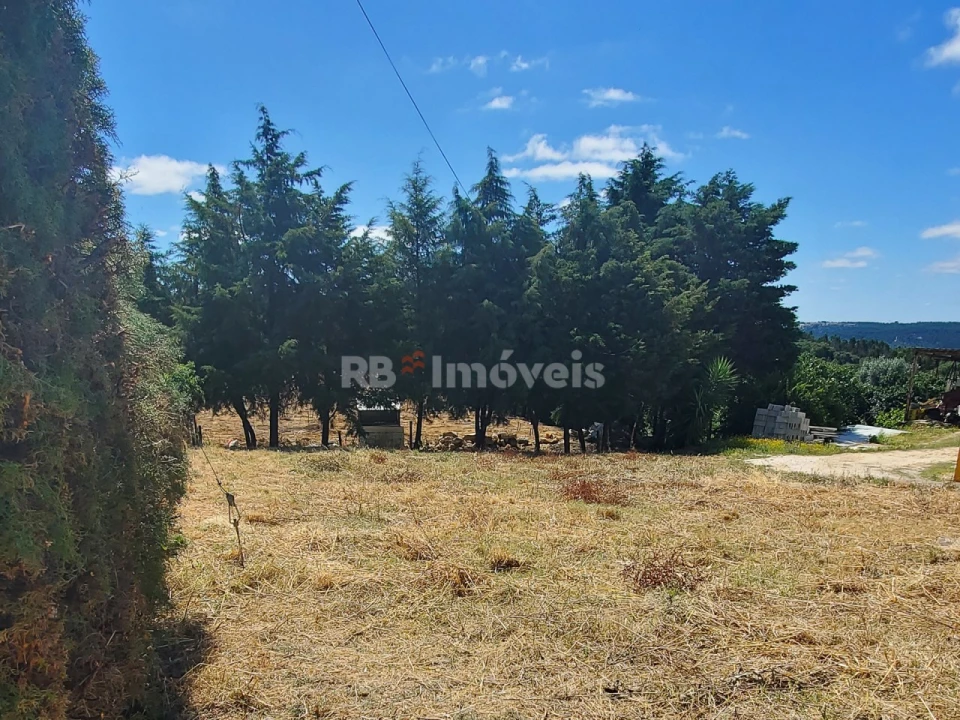 Terreno para Venda em Praia do Ribatejo Foto 2
