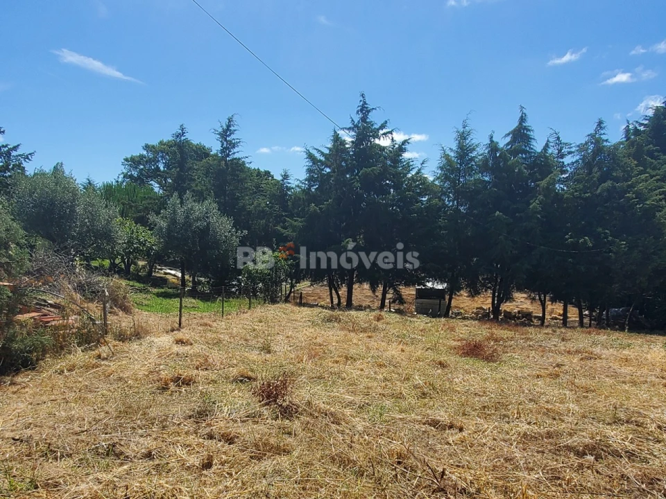 Terreno para Venda em Praia do Ribatejo Foto 6