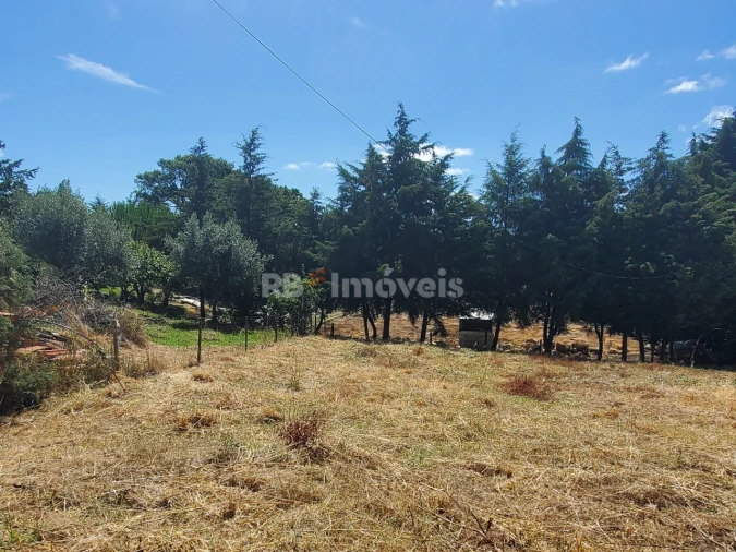 Terreno para Venda em Praia do Ribatejo Foto 6