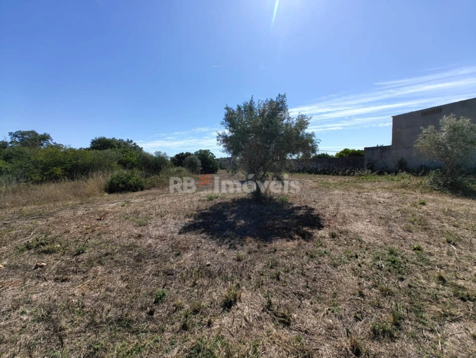Terreno Agricola ou Rústico para Venda em Brogueira, Parceiros de Igreja e Alcorochel Foto 2