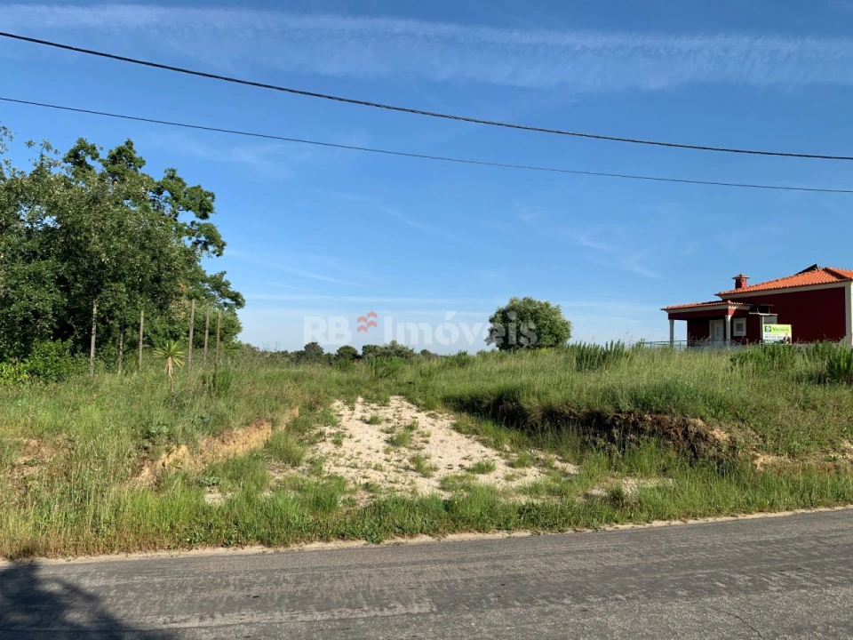 Terreno Agricola ou Rústico para Venda em Torres Novas (São Pedro), Lapas e Ribeira Branca Foto 1