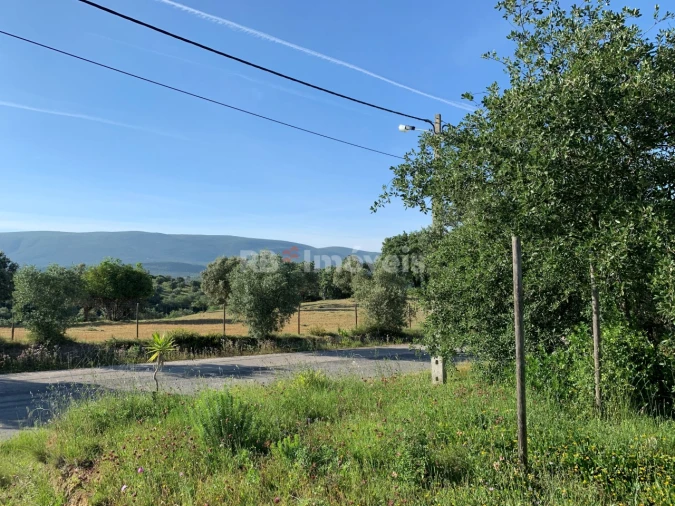 Terreno Agricola ou Rústico para Venda em Torres Novas (São Pedro), Lapas e Ribeira Branca Foto 3