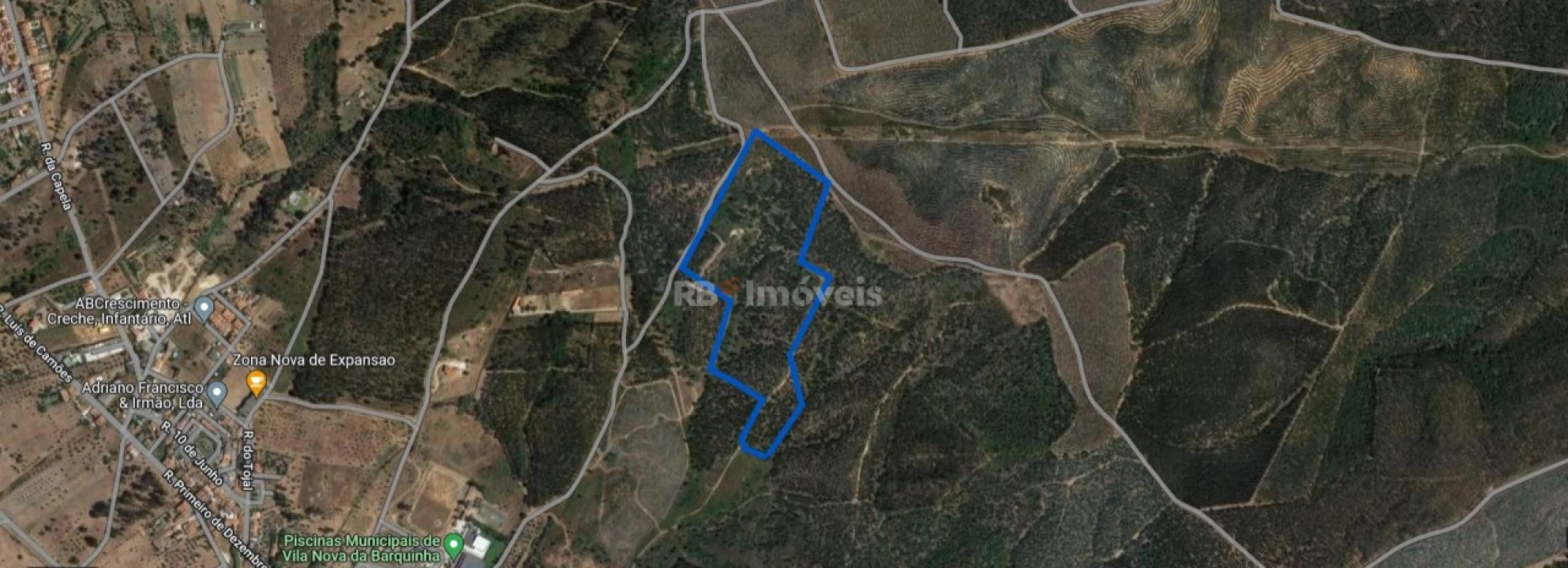 Terreno Agricola ou Rústico para Venda em Vila Nova da Barquinha Foto 2