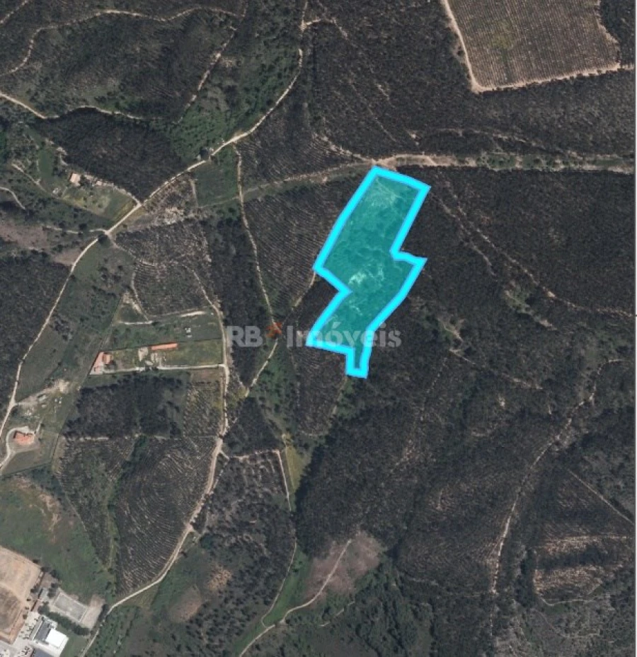 Terreno Agricola ou Rústico para Venda em Vila Nova da Barquinha