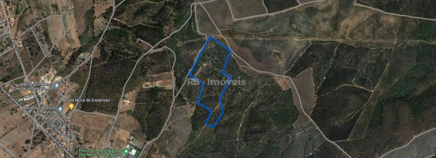 Terreno Agricola ou Rústico para Venda em Vila Nova da Barquinha Foto 2