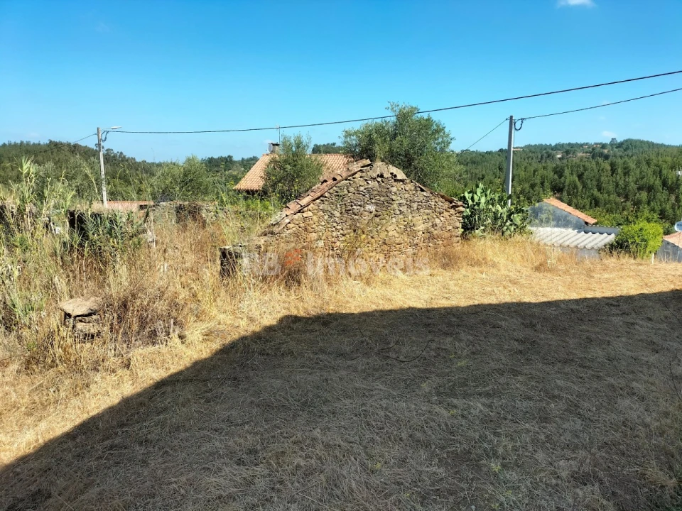 Moradia T3 para Venda em Olalhas Foto 21