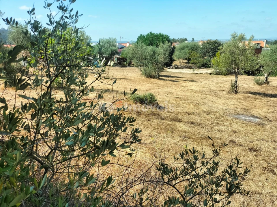 Moradia T3 para Venda em Olalhas Foto 23