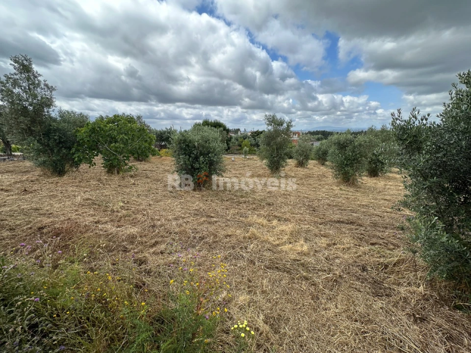 Moradia T3 para Venda em Olalhas Foto 24