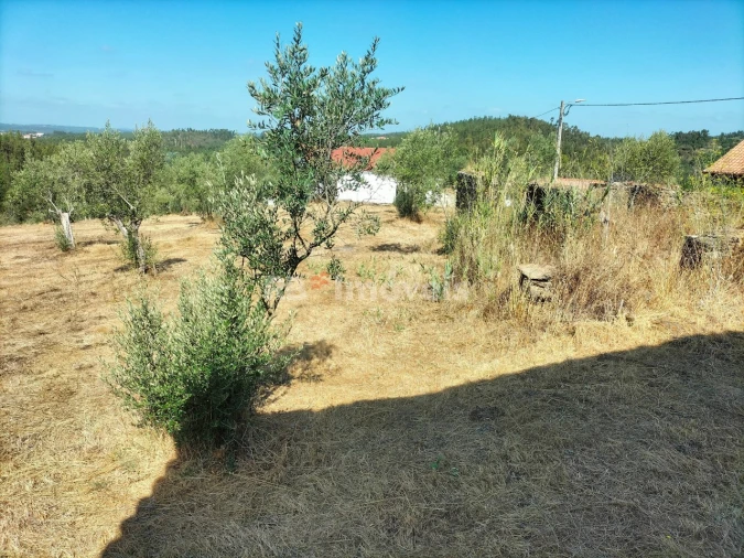 Moradia T3 para Venda em Olalhas Foto 22