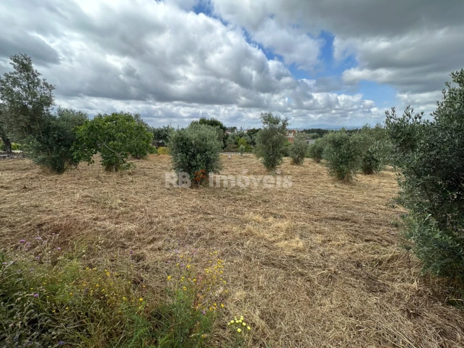 Moradia T3 para Venda em Olalhas Foto 24