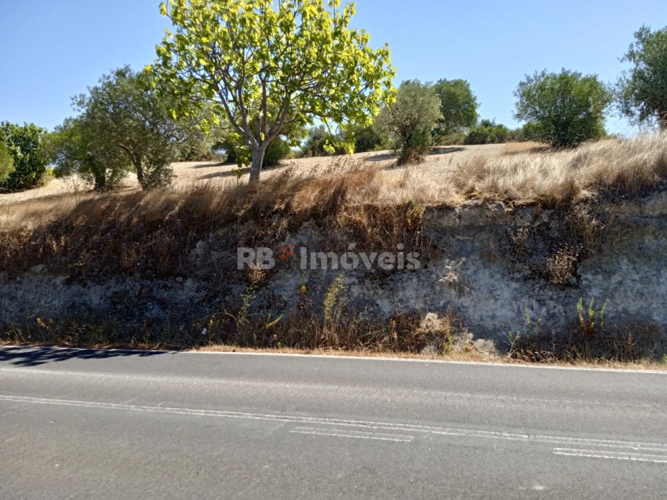 Terreno para Venda em Chancelaria Foto 2