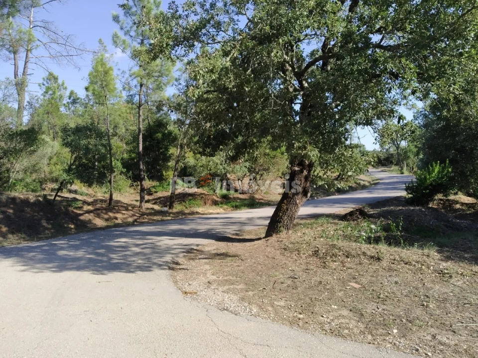 Terreno Agricola ou Rústico para Venda em Vila Nova da Barquinha Foto 2