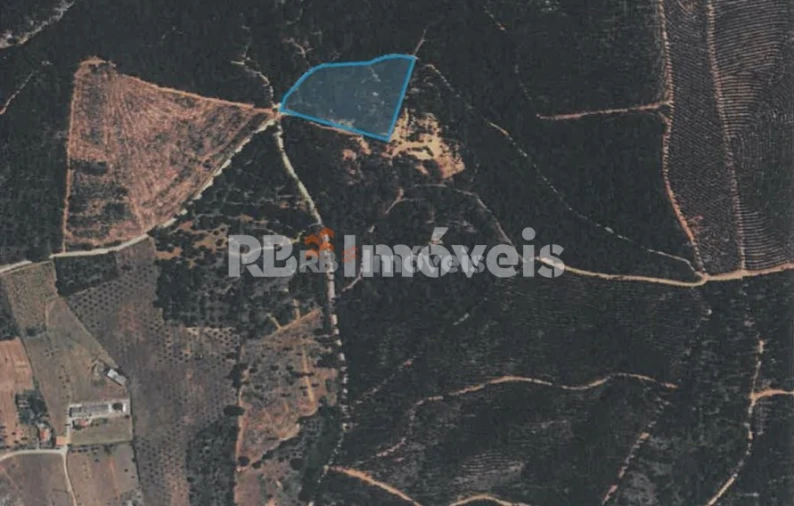 Terreno Agricola ou Rústico para Venda em Vila Nova da Barquinha Foto 4