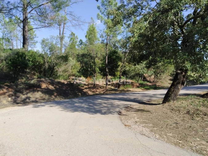 Terreno Agricola ou Rústico para Venda em Vila Nova da Barquinha Foto 3