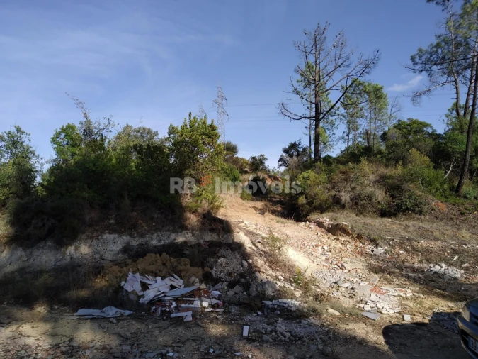 Terreno Agricola ou Rústico para Venda em Vila Nova da Barquinha Foto 5
