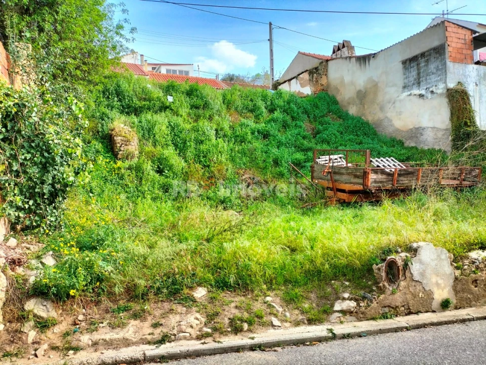 Terreno para Venda em Vale de Cavalos Foto 4