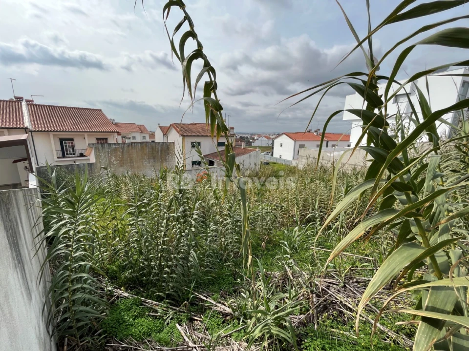 Terreno para Venda em Vila Nova da Barquinha Foto 3
