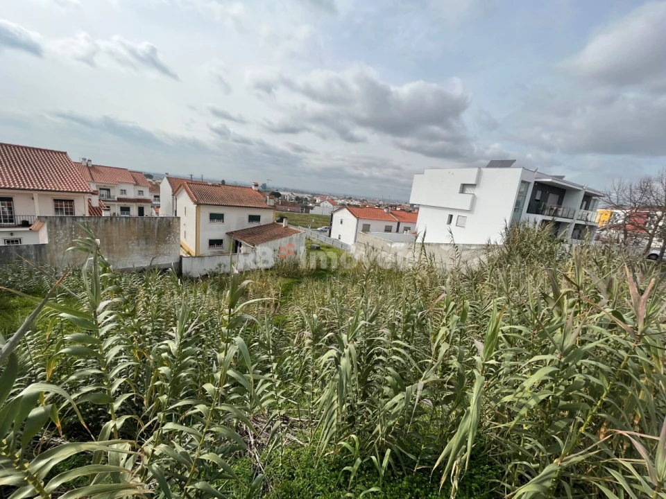 Terreno para Venda em Vila Nova da Barquinha Foto 2