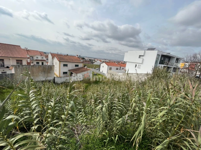 Terreno para Venda em Vila Nova da Barquinha Foto 2