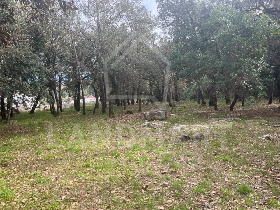 Terreno para Venda em Turquel Foto 2