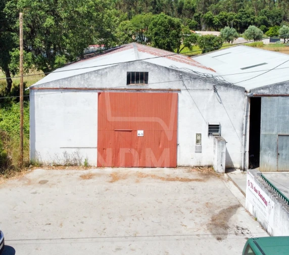 Armazém para Venda em Benedita Foto 3