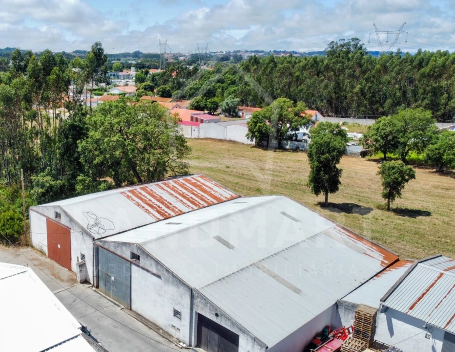 Armazém para Venda em Benedita Foto 3