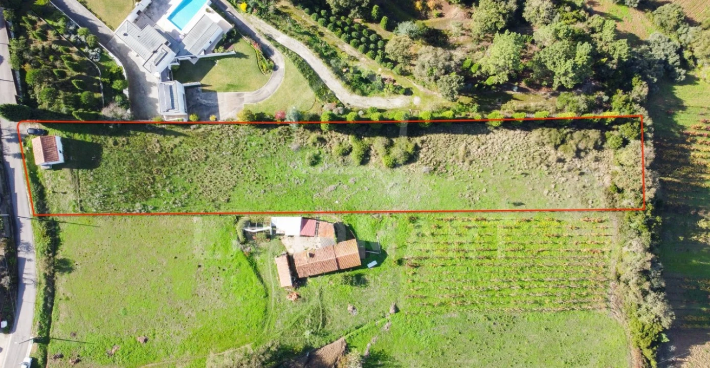 Terreno para Venda em Maiorga Foto 9