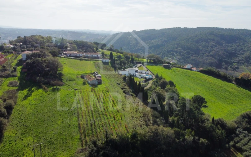 Terreno para Venda em Maiorga Foto 8