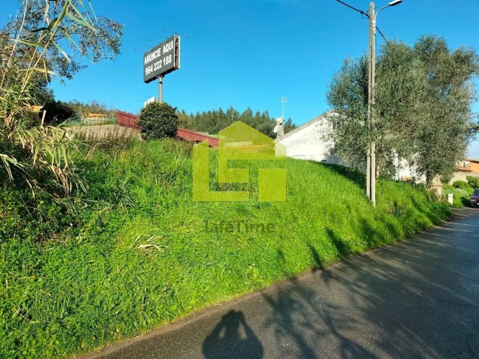 Terreno para Venda em São Martinho de Árvore e Lamarosa Foto 3