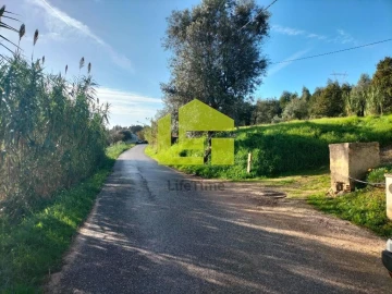 Terreno para Venda em São Martinho de Árvore e Lamarosa